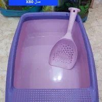 ظرف خاک گربه|لوازم جانبی حیوانات|مراغه, |دیوار