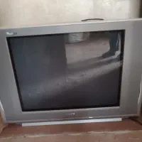 تلویزیون