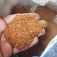 خوراکی