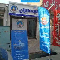 بیمه ایران-نمایندگی‌محمد هژیر - بیمه‌خودرو‌اقساطی
