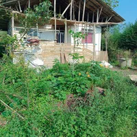 فروش خانه قدیمی سند تک برگ|فروش خانه و ویلا|املش, |دیوار