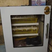 دستگاه جوجه کشی فاخته