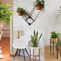 بهترین ها رو داشته باشید