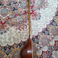 سه تار مهدی مفاخری همراه هاردکیس فومی و کتب ردیف|سازهای سنتی|نیشابور, بنیاد شهید|دیوار