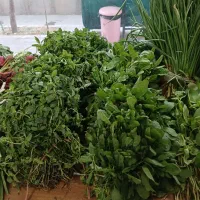 کار در منزل برای بانوان