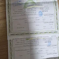 دوعدد فیش حج تمتع به مبلغ ۳۷۰ملیون تومان