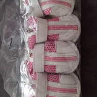 کفش و پاپوش