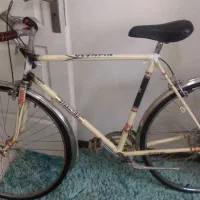 استارنورد اصل فرانسه با سند با لوازم اضافه