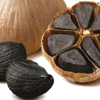 سیر سیاه|خوردنی و آشامیدنی|رشت, چله خانه|دیوار