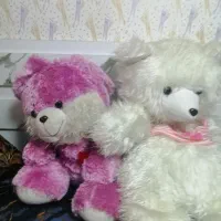 اروسک خرسی دو عدد مارک|اسباببازی بچه|رشت, نیروی دریایی|دیوار