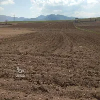 زمین-اجاره-ای-کشاورزی-بهترین-جا