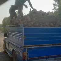 برشکاری چوب و هرس کاری باغبانی خرید چوب تناچ بالا|خدمات باغبانی و درختکاری|اهواز, گلستان|دیوار