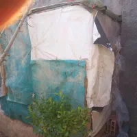 قفس چوبی محکم قدمگاه