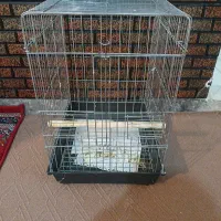 قفس بزرگ پرنده