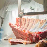 تیغ اره استخوان بر ماهی بر گوشت بر اهن بر|خدمات پیشه و مهارت|محمدشهر, شهرک چمران|دیوار