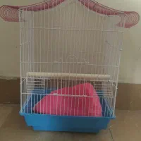 قفس عروس هلندی