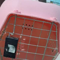 باکس و وسایل پت خانگی،سگ و گربه