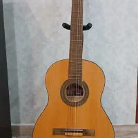 گیتار رویال