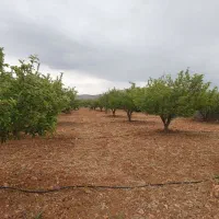 باغشهر ۱۰۰۰ متری آبپرده|فروش خانه و ویلا|شیراز, کودیان|دیوار