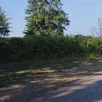 اجاره زمین ۱۰۰۰ متری در محدوده طرح هادی در نوبیجار