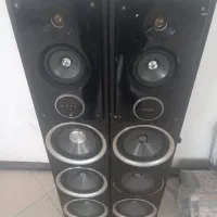 باند سناتور