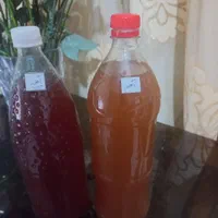 سرکه سیب، انگور،انجیر،آبغوره،غوره شور|خوردنی و آشامیدنی|گرگان, |دیوار