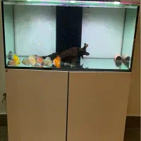 اکواریوم ریملس با تمام وسایل