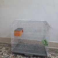 قفس پرنده و عروس