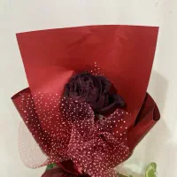 نظافت و آشپزی در خانه