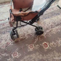 کالسکه دلیجان|کالسکه و لوازم جانبی|اصفهان, جنیران (لادان)|دیوار