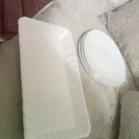 دیس مستطیلی نوی نو ۳۳ س ک در۱۶ س م|ظروف سرو و پذیرایی|تهران, علم و صنعت|دیوار