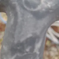 دیگ رنگ|ابزارآلات|تالش, هشتپر|دیوار