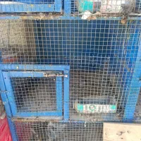 قفس جفت کن|لوازم جانبی حیوانات|اصفهان, ملک‌شهر|دیوار