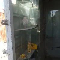 کانکس فروش فوری