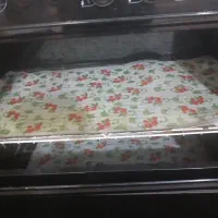 گاز|اجاق گاز و لوازم برقی پخت‌وپز|فشاپویه, |دیوار