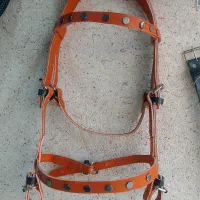 دهنه دست جلو|اسب و تجهیزات اسب‌سواری|مشهد, چهنو|دیوار