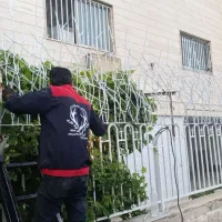 حفاظ روی دیوار شاخگوزنی.بوته خاری نرده پنجره در|خدمات پیشه و مهارت|مشهد, امیریه|دیوار