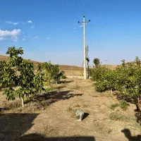 فروش باغی در چاوقون