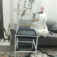 قفس با پایه