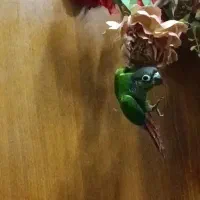 گرینچیک|پرنده|بستان آباد, |دیوار