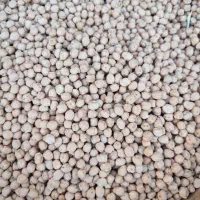 نخود امسال|خوردنی و آشامیدنی|سراجو, |دیوار