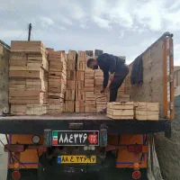 پخش مستقیم شانی اصل سردشت|عمده‌فروشی|اصفهان, پوریای ولی|دیوار