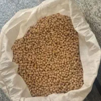 نخود کرمانشاه