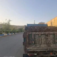 کود حیوانی