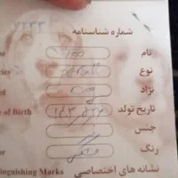 سگ پیت بول|سگ|تهران, کیانشهر|دیوار