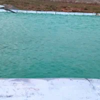 فروش چهارهکتارباغ