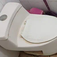 توالت فرنگی