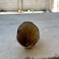 انگشتر شجر  کلکسیونی و سه پوست بقرانی