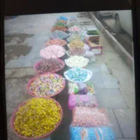 انواع مختلف شکلات وگز ونقا به عمده و خرده