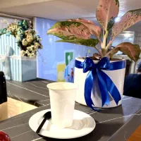 شراکت درصدی کافه عدالت